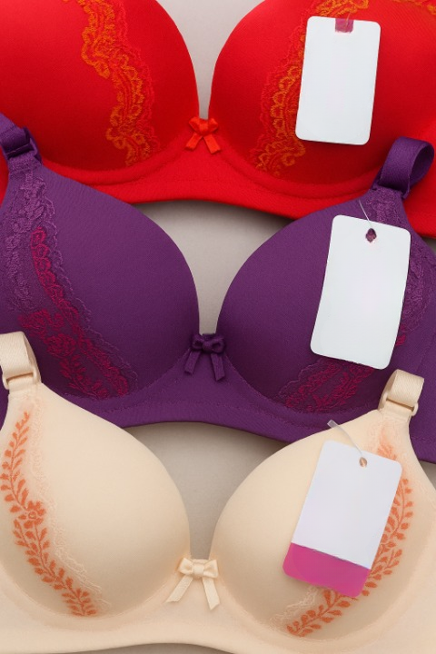Bra For Women – Luxury Undergarment With Soft Silk Fabric
