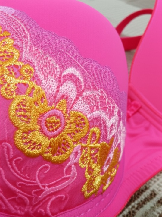 Bra For Women – Luxury Undergarment With Soft Silk Fabric